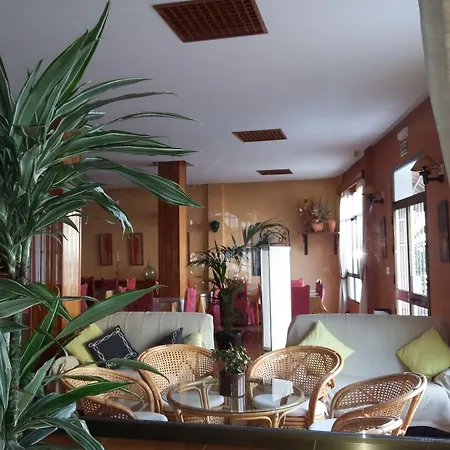 Tres Jotas Conil 호텔 2*