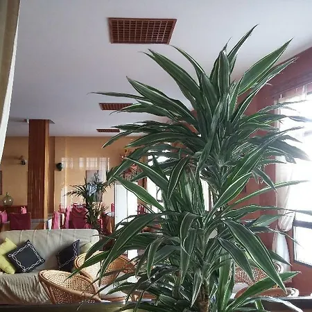 Hotel Tres Jotas Conil 2*